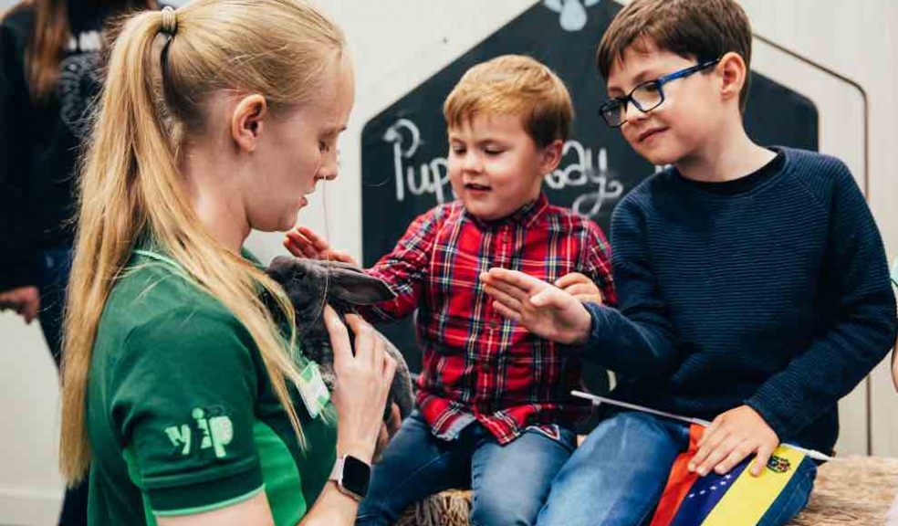 Pets at Home to host free pet for children The Exeter Daily